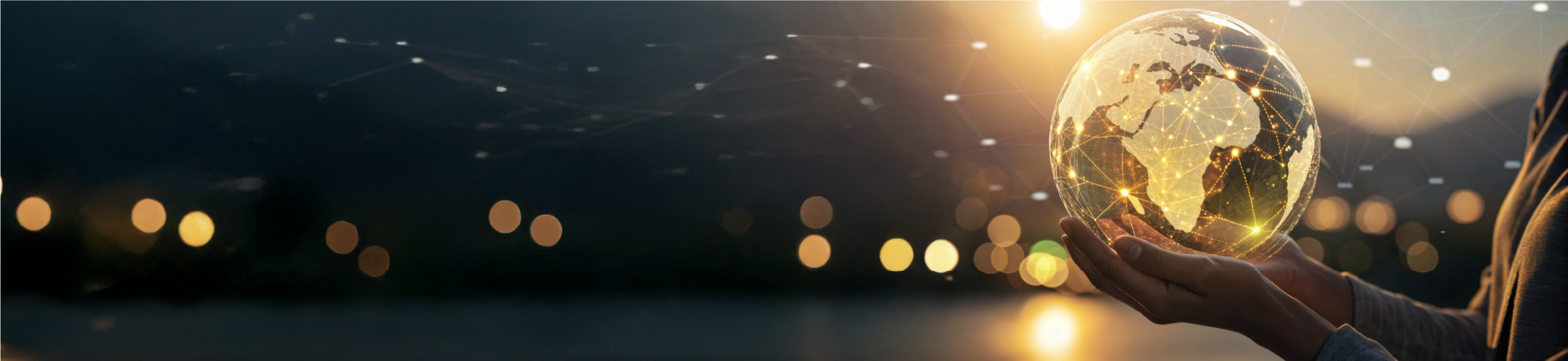 imagen decorativa para el banner