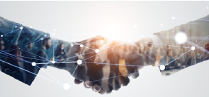 Imagen banner principal