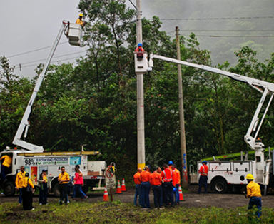 Agentes nacionales que deseen participar en el MER deberán asumir costos de transacciones